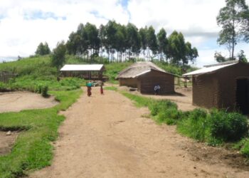 RDC : L’Ituri s’enfonce dans une crise sécuritaire sans issue, la société civile tire la sonnette d’alarme