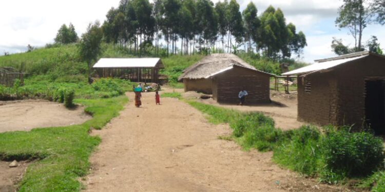 RDC : L’Ituri s’enfonce dans une crise sécuritaire sans issue, la société civile tire la sonnette d’alarme