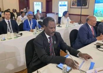 Le Tchad présent à la 22ème Réunion des Ministres des Affaires étrangères d&rsquo;Afrique et des Pays Nordiques