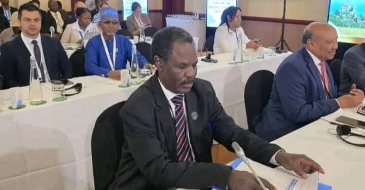 Le Tchad présent à la 22ème Réunion des Ministres des Affaires étrangères d&rsquo;Afrique et des Pays Nordiques