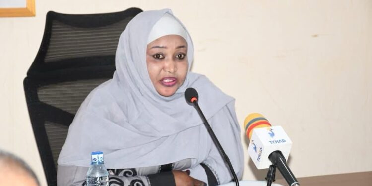 Tchad : Vers la relance de tous les chantiers publics