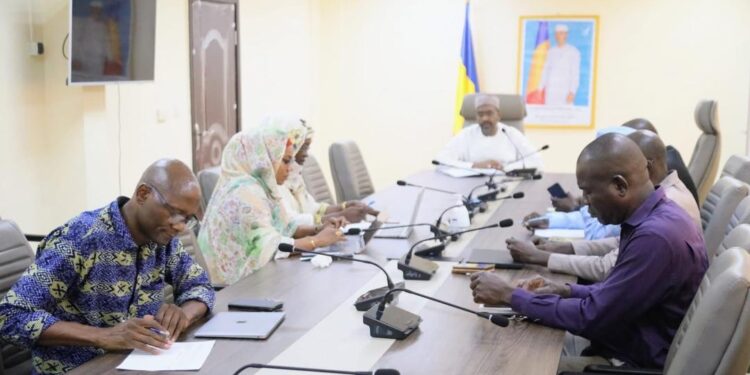 Tchad : La santé reproductive au cœur des priorités lors d’une réunion stratégique du ministère de la Santé