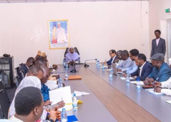 Tchad : La Ministre des Transports à l&rsquo;écoute des directeurs techniques de son ministère.