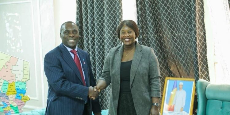 Tchad : L’ONU réaffirme son soutien à la promotion des femmes et à la lutte contre les violences basées sur le genre