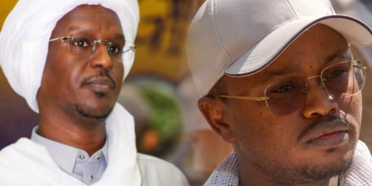 Tchad : Le Ministère du Développement Touristique salue la résiliation des accords avec African Parks Network pour mieux protéger le patrimoine culturel