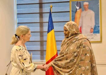 Tchad: L&rsquo;ambassadrice du Suède présente les copies figurées de ses lettres de créance au ministère des affaires étrangères