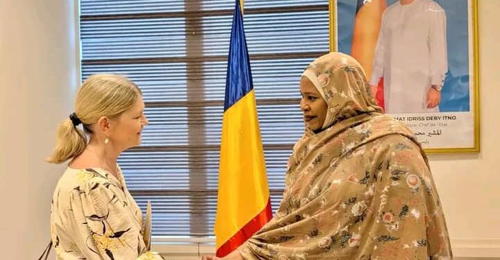 Tchad: L&rsquo;ambassadrice du Suède présente les copies figurées de ses lettres de créance au ministère des affaires étrangères