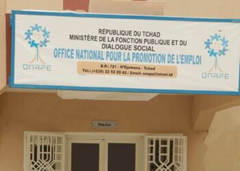 Tchad : L’ONAPE renforce le contrôle des annonces d’emploi pour sécuriser le marché du travail