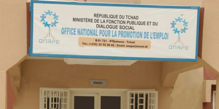 Tchad : L’ONAPE renforce le contrôle des annonces d’emploi pour sécuriser le marché du travail