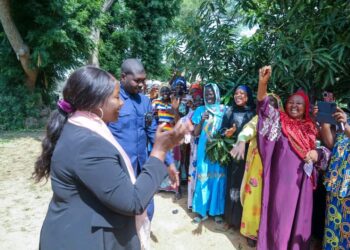 Tchad : Après Pala, la Ministre Kitoko Gata Ngoulou est accueillie à Bongor