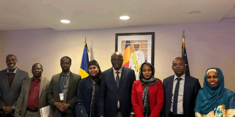 Rencontre à Washington entre une délégation tchadienne et la société SolCaribe Energy Consultants