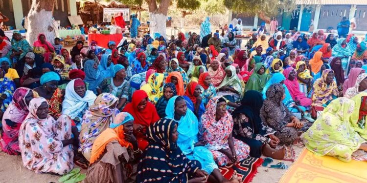 Mandelia : Le Ministère de la Femme organise une Causerie-débat sur les VBG