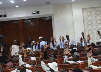 Tchad : le Congrès du Parlement adopte la révision technique de la Constitution du 29 décembre 2023