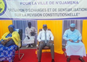 Tchad : Le MPS lance une campagne de sensibilisation sur la révision constitutionnelle