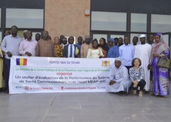 Tchad : Lancement d&rsquo;un atelier d&rsquo;évaluation du système de santé communautaire