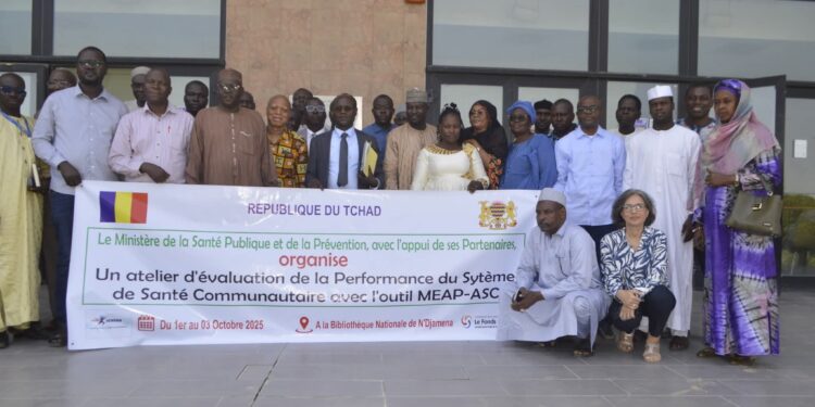 Tchad : Lancement d&rsquo;un atelier d&rsquo;évaluation du système de santé communautaire