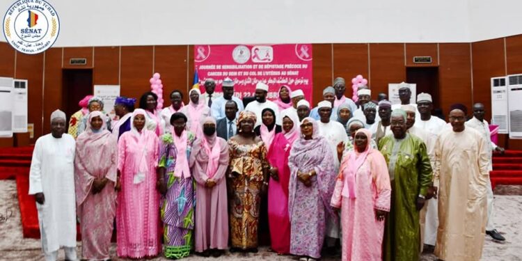 Tchad : Sensibilisation et dépistage précoce du cancer du sein et du col de l&rsquo;utérus au Sénat
