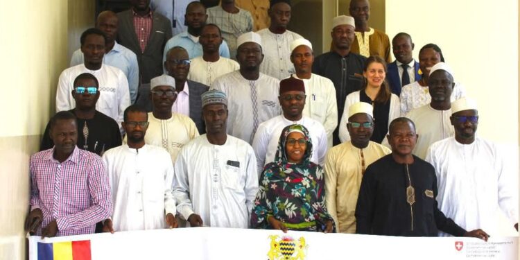 Tchad : Le CDIG organise un atelier d&rsquo;harmonisation et de validation du formulaire de collecte de données GIRE