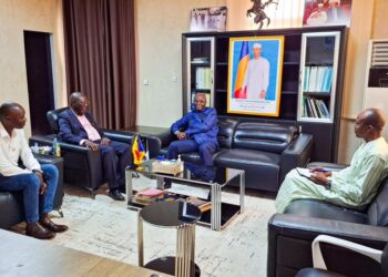 Tchad : Le ministre de l’Eau et de l’Énergie rencontre le maire de Gounougaya