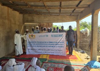 Sila : La Délégation de la Femme renforce la Protection de l&rsquo;Enfance en organisant des dialogues communautaires