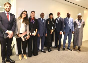 PND “Tchad Connexion 2030” : La délégation tchadienne en échange avec l’Administrateur français du FMI et de la Banque mondiale
