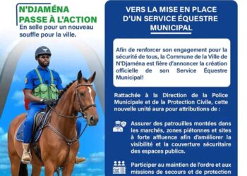 Tchad : Vers la mise en place d’un Service Équestre Municipal à N’Djamena