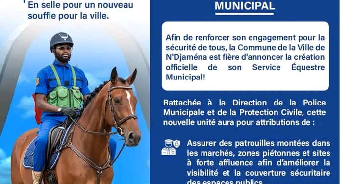 Tchad : Vers la mise en place d’un Service Équestre Municipal à N’Djamena