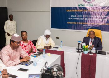 Tchad Connexion 2030 : Rencontre de partenariat avec le secteur privé à N’Djamena