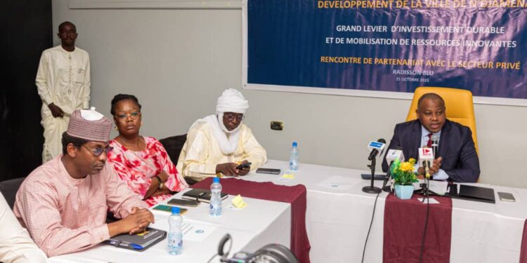 Tchad Connexion 2030 : Rencontre de partenariat avec le secteur privé à N’Djamena