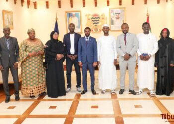 Tchad : L&rsquo;ONAPE sollicite des financements aux Emirats Arabes Unis pour le Plan national de développement