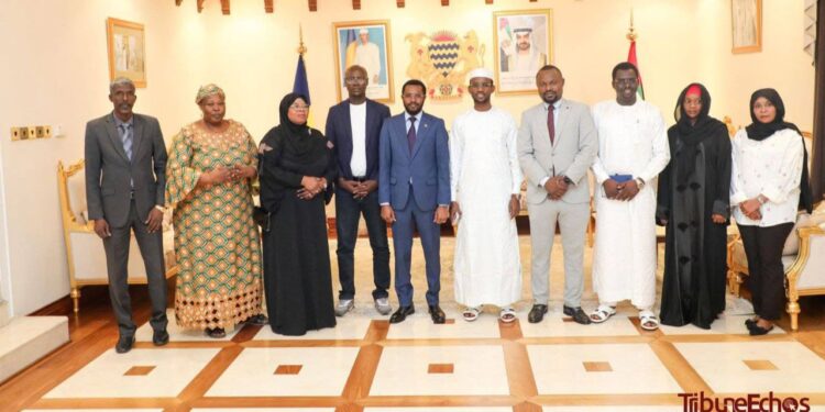 Tchad : L&rsquo;ONAPE sollicite des financements aux Emirats Arabes Unis pour le Plan national de développement