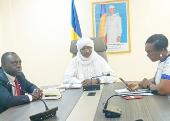 Tchad : Le ministre de la Santé préside une réunion de coordination sanitaire transfrontalière avec le Soudan