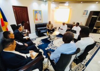 Tchad : Le ministre de l’Environnement reçoit SAND GROUP pour de futurs investissements dans les infrastructures