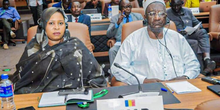 Le Tchad représenté à la 85ᵉ session ordinaire de la CADHP en Gambie