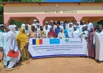 Guéra : Lancement d&rsquo;un projet ambitieux pour améliorer la nutrition des enfants à Mangalmé.