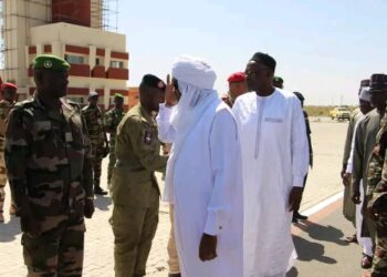 Coopération Transfrontalière : Le Tchad et le Niger lancent une campagne de vaccination pour le bétail