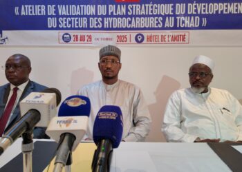 Tchad : Fin de l&rsquo;atelier de validation du Plan stratégique de développement des hydrocarbures.