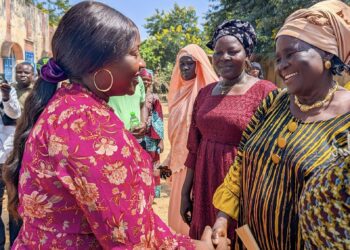 Mayo Kebbi Ouest : La Ministre de la Femme rencontre les organisations féminines de la province