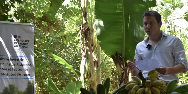 Tchad : L’Ambassade de France soutient la jeunesse tchadienne avec un projet de ferme-école en permaculture à Koundoul