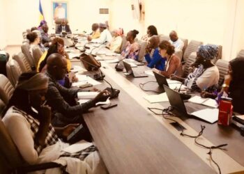 Tchad : vers l’institutionnalisation des cellules genre dans les ministères