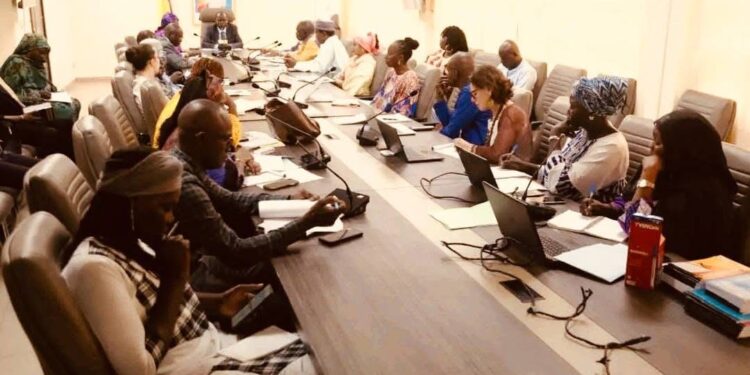 Tchad : vers l’institutionnalisation des cellules genre dans les ministères