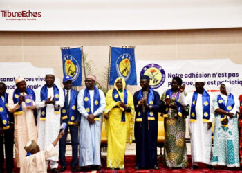 Tchad : Adhésion collective des Artistes et Artisans au MPS