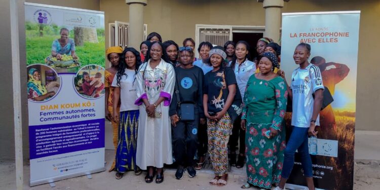Tchad : Avec « Dian Koum Kö », les femmes vulnérables s’outillent pour devenir actrices de développement communautaire