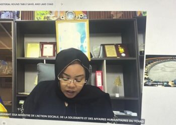 Tchad : N&rsquo;Djamena plaide pour une réponse humanitaire coordonnée et pérenne au Sahel