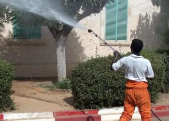 Sénégal : Ziguinchor face à sa première épidémie de dengue depuis des décennies, les autorités sanitaires sonnent l’alerte