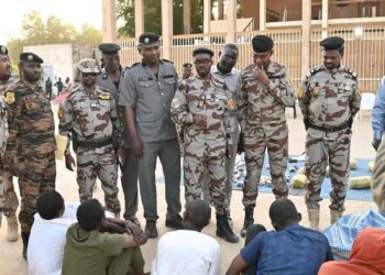 Tchad : 19 Présumés malfrats présentés par la Police Nationale