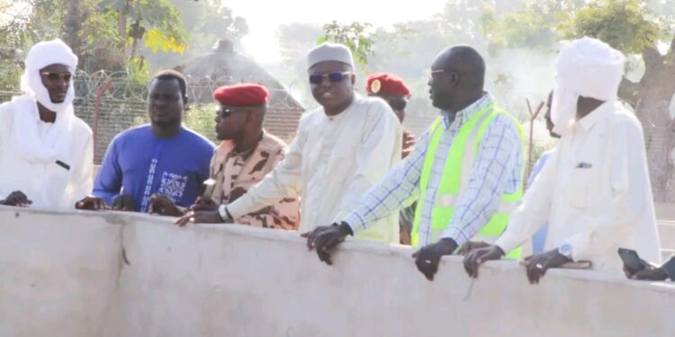 Mayo Kebbi Ouest : Le Ministre de l&rsquo;Eau et de l&rsquo;Énergie visite la station d&rsquo;alevinage de Pala