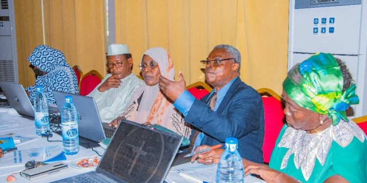 Tchad : les travaux de validation de la Stratégie Nationale de Réconciliation et de Consolidation de la Paix se poursuivent à N&rsquo;Djaména.