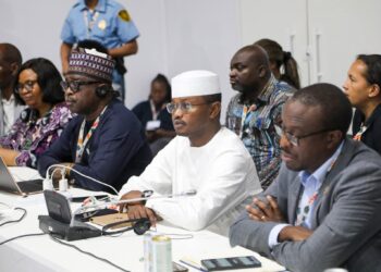 COP30 : Le Tchad à l&rsquo;offensive pour les zones arides et le financement climatique