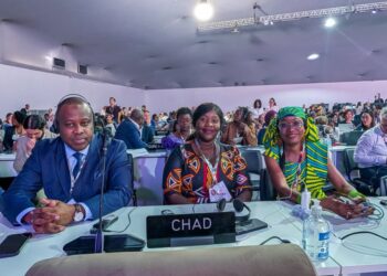 Participation de la ville de N&rsquo;Djaména à la COP 30, un engagement fort pour la résilience climatique